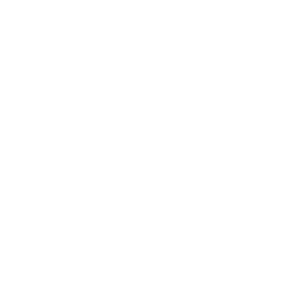 icone prof<wbr>essional<wbr>isme